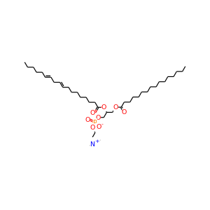 phosphatidyl choline